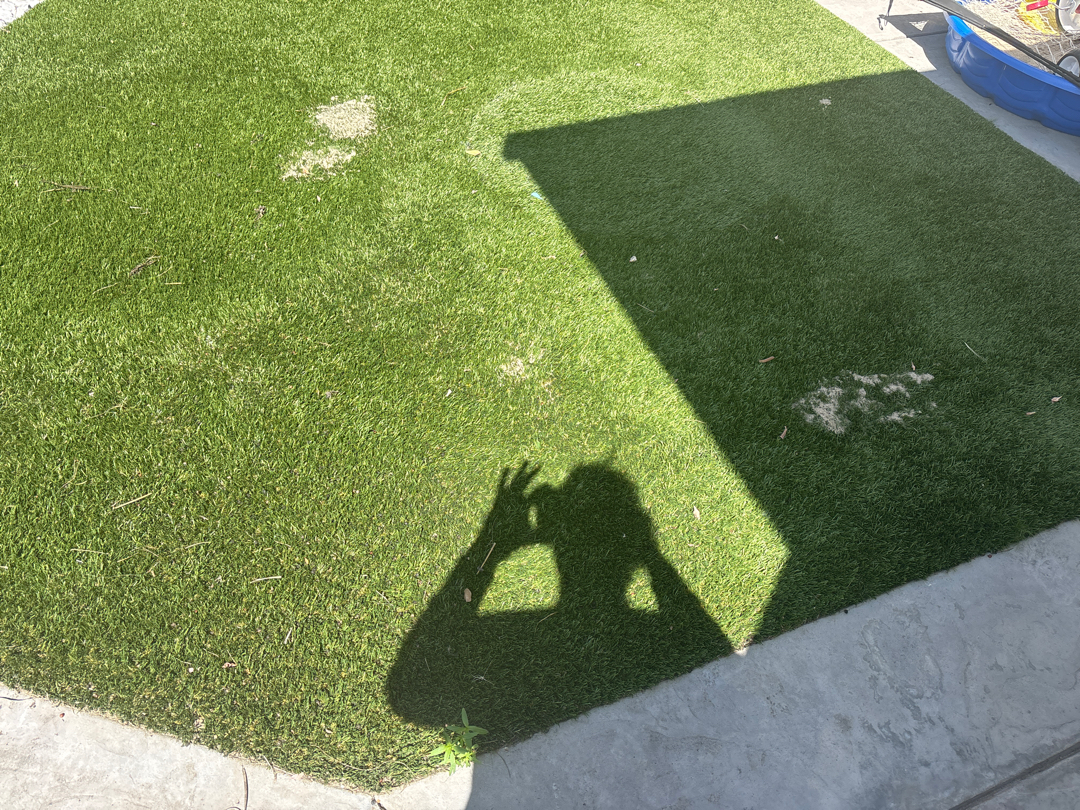 Before turf cleaning - dirty and worn artificial grass with pet odors